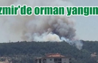 İzmir'de orman yangını