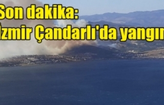 Son dakika: İzmir Çandarlı'da yangın