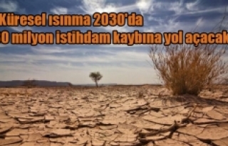 "Küresel ısınma 2030'da 80 milyon istihdam...