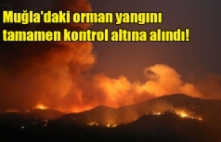 Muğla'daki orman yangını tamamen kontrol altına...