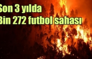 Son 3 yılda Bin 272 futbol sahası kadar ormanlık...