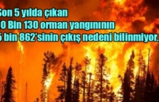 Son 5 yılda çıkan 10 Bin 130 orman yangınının...