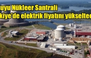 TMMOB'dan rapor: Akkuyu Nükleer Santrali Türkiye'de...