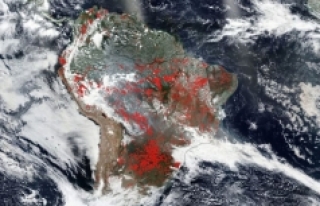 Amazon yangınları neleri tehdit ediyor ?