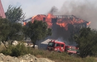 Bornova Beşyol'da orman yangını evlere sıçradı.