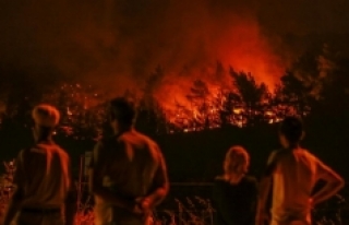 İzmir'deki orman yangınlarında son durum