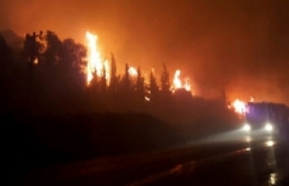 İzmir Menderes'te yangın: Yol kapatıldı,...