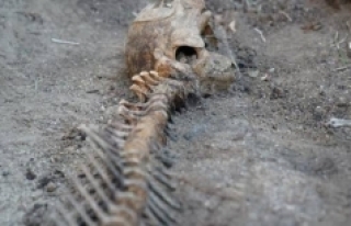 5 yıldır gömülü olan yunusun iskeleti EÜ Tabiat...