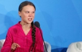 Greta Thunberg'in adı bir böcek türüne verildi