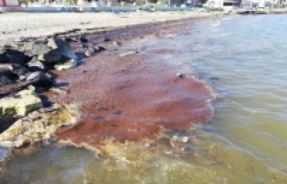 “İzmir’de sahile fueloil vurdu”