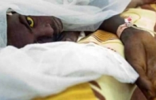 Nijerya'da sarı humma salgınında 115 kişi...