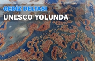 Gediz Deltası UNESCO Yolunda