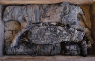 Mısır'da kedi mumyaları bulundu