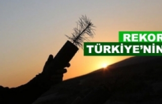 Türkiye ağaç dikmede Guinness rekorunu kırdı