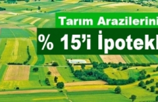 Türkiye’deki tarım arazilerinin yüzde 15’i...