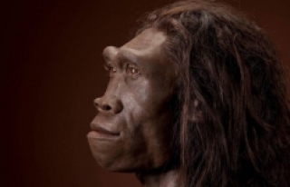 Homo erectus'lar düşünülünden daha fazla...
