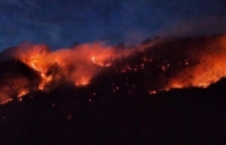 Karadeniz'de 26 noktada orman yangını!