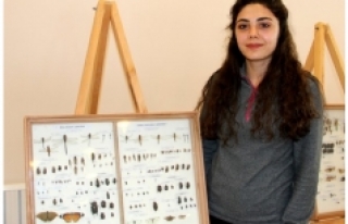 Yüzlerce türden 2 bin 500 adet böcek Erzurum’da...