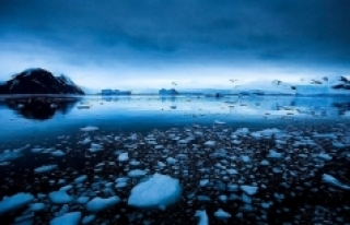 Antartika'da rekor: İlk kez 20 derecenin üstüne...
