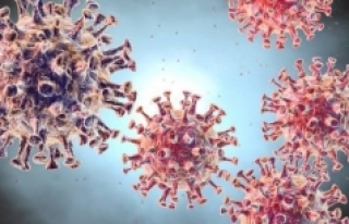 Çin, Corona virüsüne karşı Ebola ilacı deneyecek!