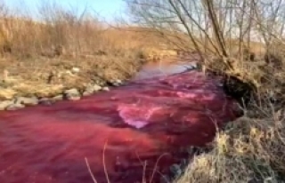 Kanada'da nehir kırmızıya büründü