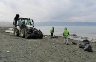 Vangölü sahillerinde 100 ton atık çöp toplandı