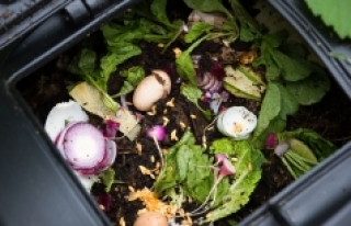 Yemekhane atıkları komposta dönüşüyor
