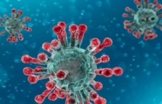 Koronavirüsün suda yaşama süresi nedir?