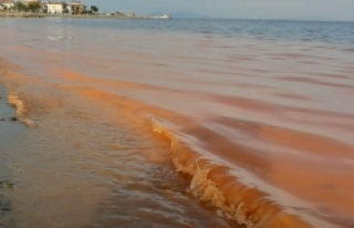 Şarköy'ün 62 km'lik kıyı şeridi turuncu...