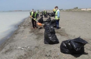 Van Gölü’nde  200 ton çöp toplandı