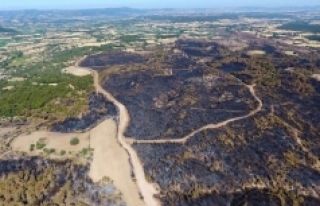 Çanakkale’de yanan ormanlık alan yeniden ağaçlandıracak