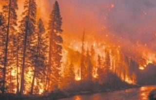 Amazon ormanlarındaki yangın söndürülmezse dünya...