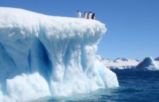 Antarktika’taki buz sahanlığının yüzde 60’ı...