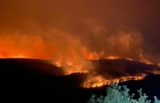 Bulgaristan'daki orman yangını Türkiye sınırına...