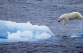 Kuzey Buz Denizi'ndeki buzullar tarihin en düşük...