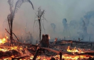 2020'nin ilk 8 ayında 2 bin 114 orman yangını...