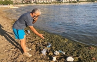 Altınkum Plajı'nda kirlilik uyarısı