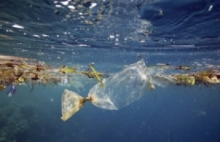 Akdeniz’deki plastik atıklarda en büyük pay Türkiye’nin