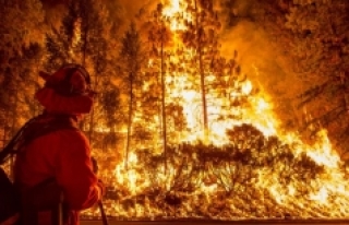 California'da olası yangınları önlemek için...