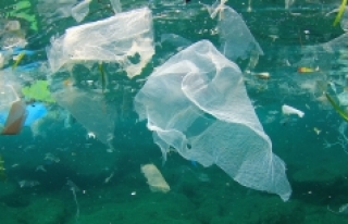 Okyanuslar mikroplastik deposu