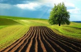Gıda, tarım ve ormana yeni düzenlemeler