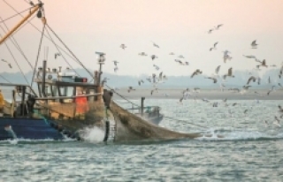 Tsunami endişesinden İzmir'de balıkçılar,...