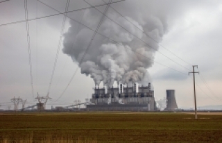 Greenpeace: Maraş'ta santraller zehir saçıyor,...