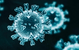 Mutasyona uğrayan koronavirüs nedeniyle 4 ülke...
