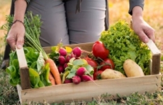 Organik tarım yüzde 46 arttı