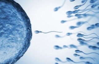 2045 yılında sperm sayısı "0" olabilir!