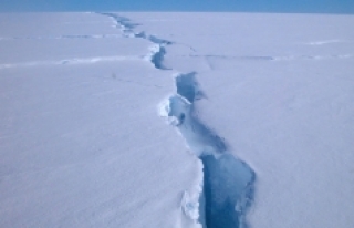 Antartika'da dev buz kütlesi buz sahanlığından...