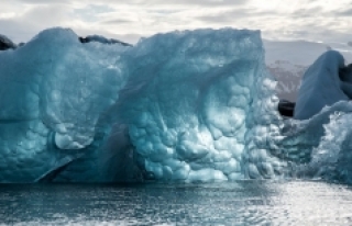 Buzul bilimcileri görünce buzları kırmayı bıraktı!