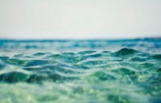 Dünyada deniz yüzey suyu sıcaklığı 1,1 derece...