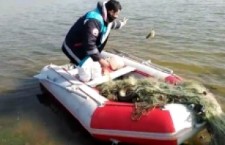 Kaçak avlanılan 2 ton canlı balık suya bırakıldı